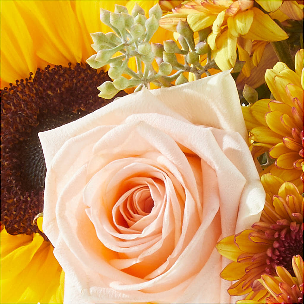 Pumpkin to Talk About Bouquet –  Talia Flowers, Ottawa ON