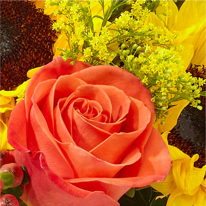 Pick of the Patch Pumpkin Bouquet –  Talia Flowers, Ottawa ON