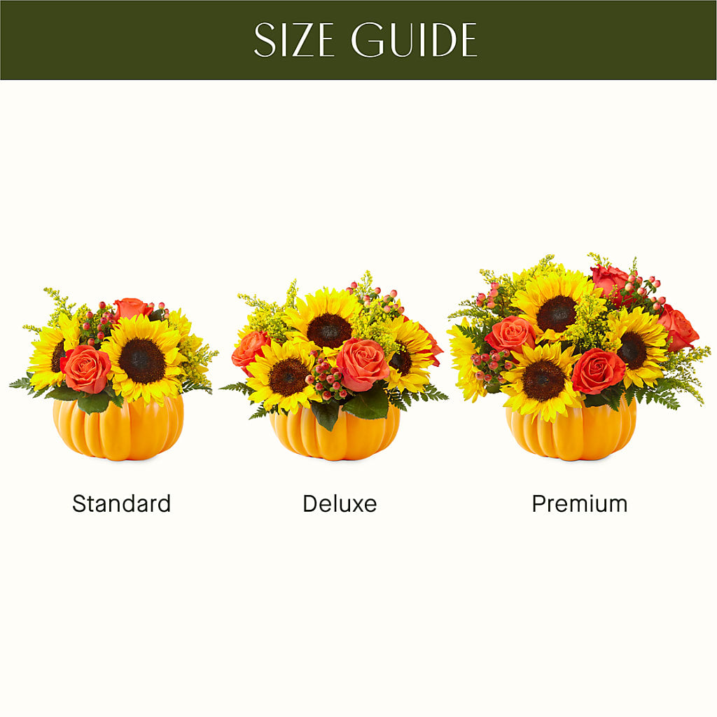 Pick of the Patch Pumpkin Bouquet –  Talia Flowers, Ottawa ON