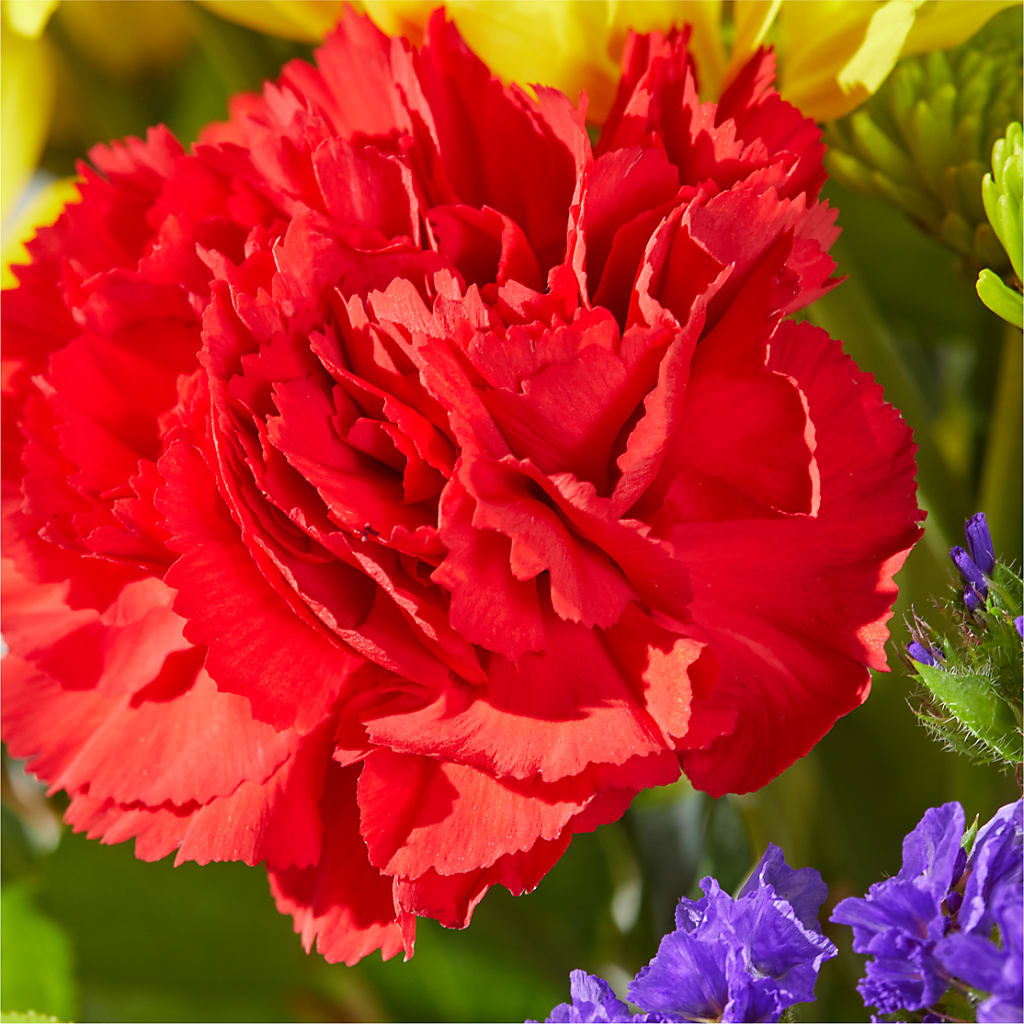 Brighter Days Bouquet –  Talia Flowers, Ottawa ON