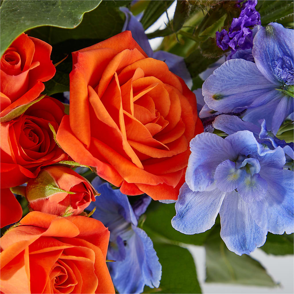 Radiant Citrus Bouquet –  Talia Flowers, Ottawa ON