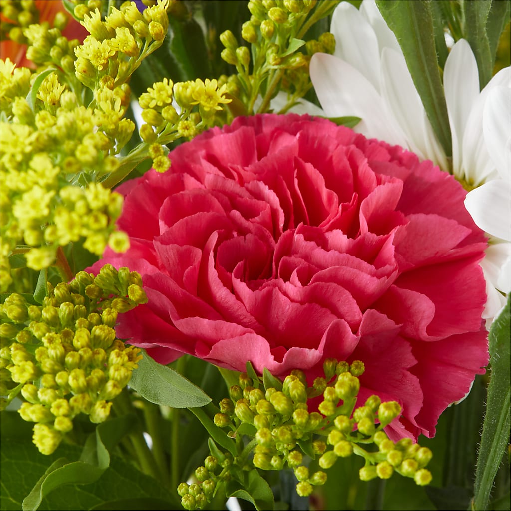 Oopsie Daisy Bouquet –  Talia Flowers, Ottawa ON