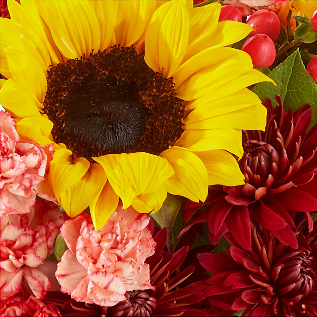 Fresh Cider Bouquet –  Talia Flowers, Ottawa ON