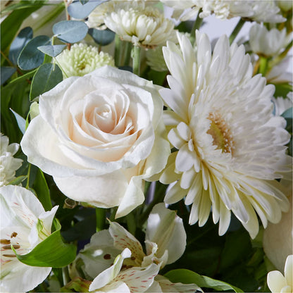 New Beginnings – A Florist Original –  Talia Flowers, Ottawa ON