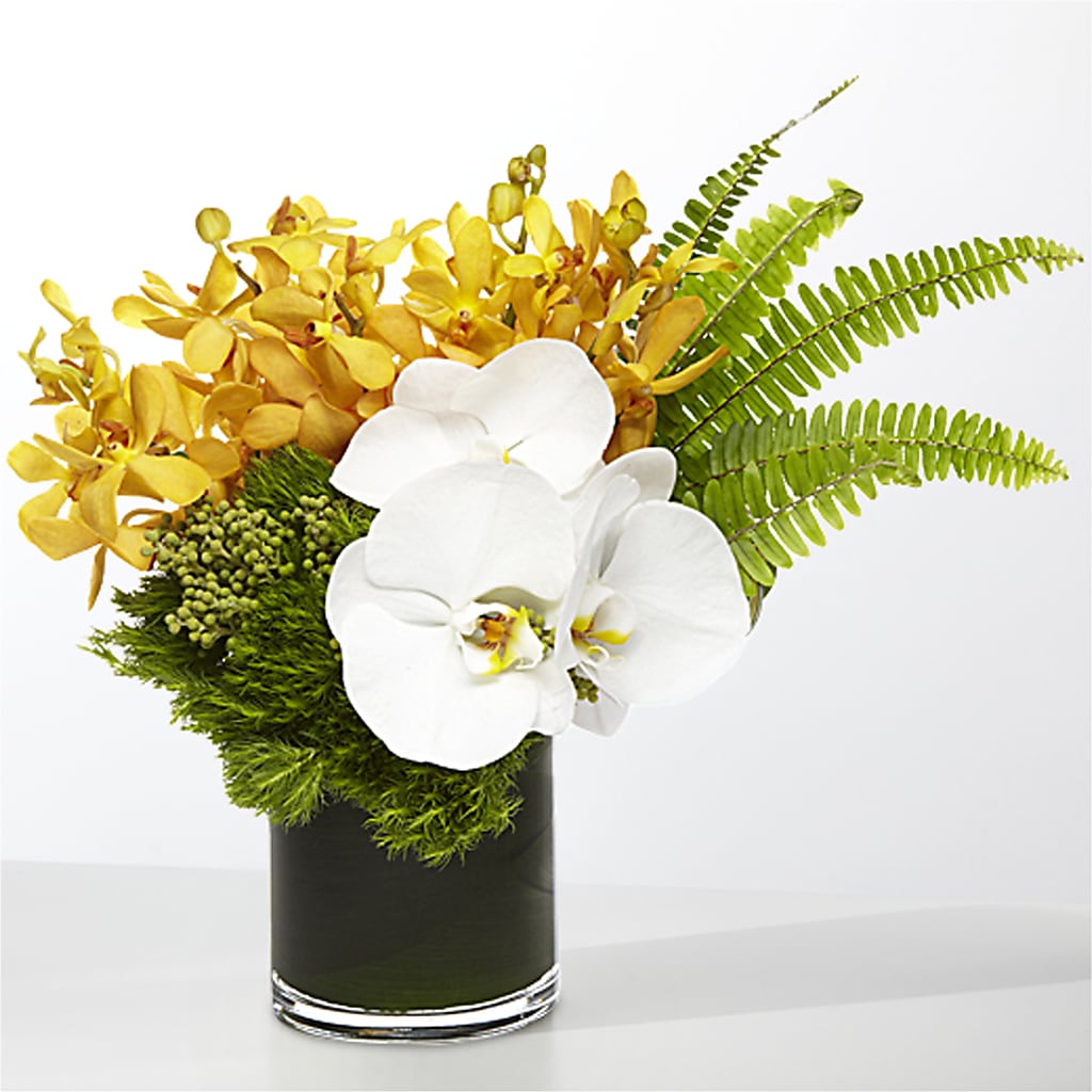 The Tropics –  Talia Flowers, Ottawa ON