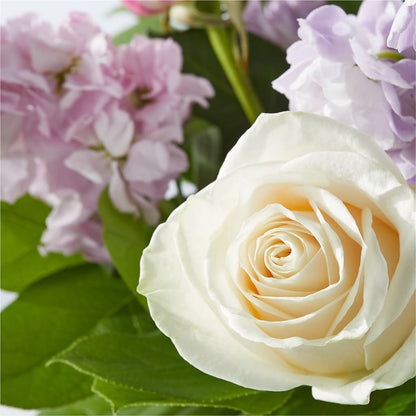 Springtime Spritz Bouquet –  Talia Flowers, Ottawa ON