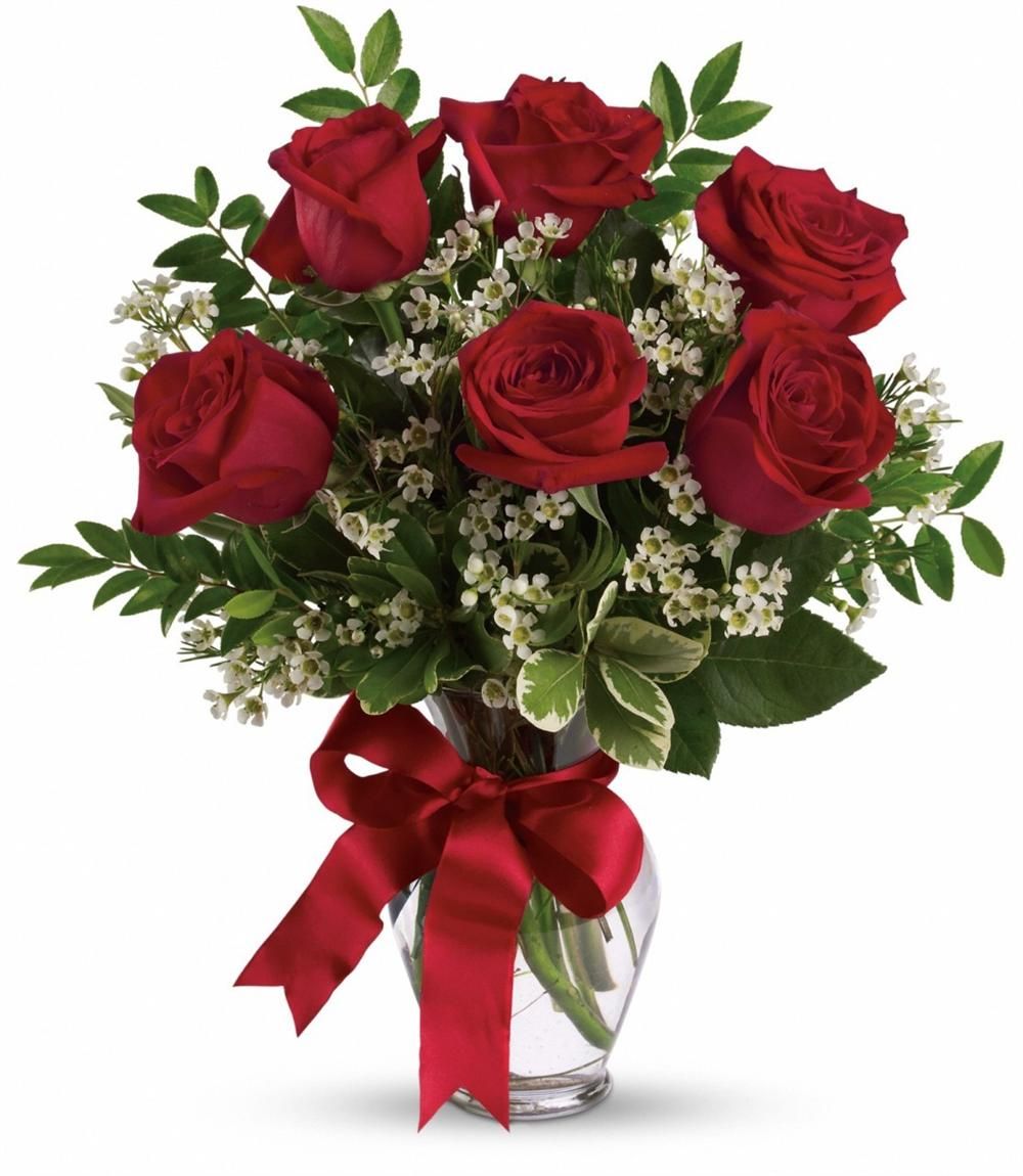 6 red roses