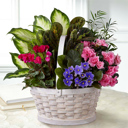 Peaceful Garden Planter –  Talia Flowers, Ottawa ON