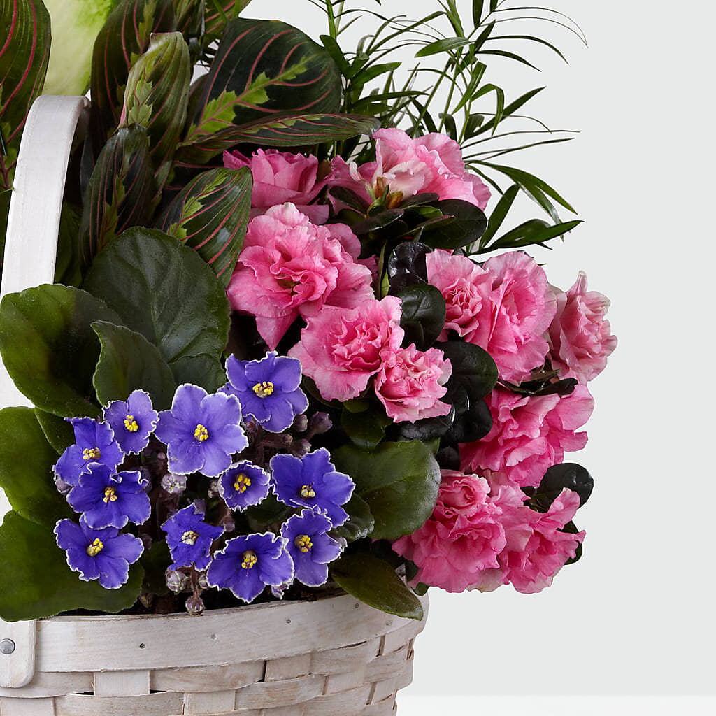 Peaceful Garden Planter –  Talia Flowers, Ottawa ON