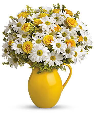 Teleflora's Sunny Day Pitcher of Daisies