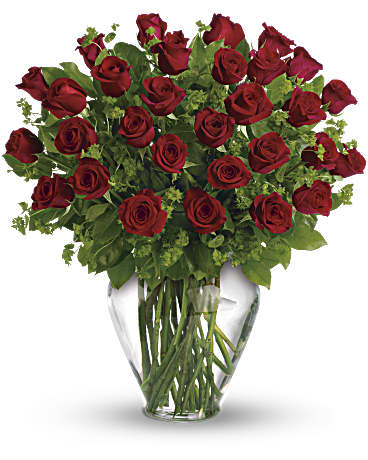 My Perfect Love - Long Stemmed Red Roses