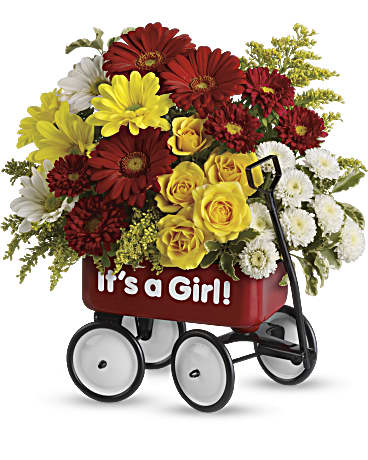 Baby's Wow Wagon by Teleflora - Girl