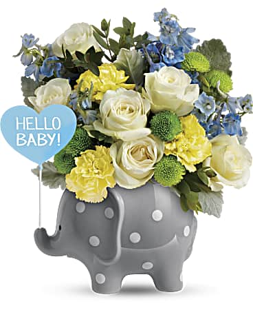 Teleflora's Hello Sweet Baby - Blue