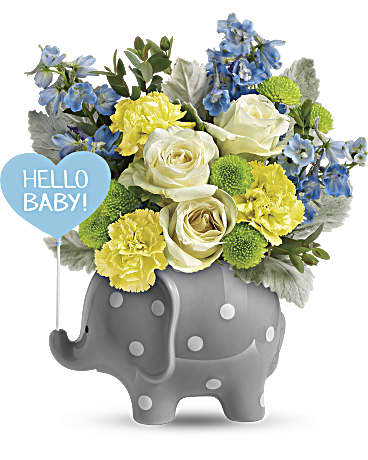 Teleflora's Hello Sweet Baby - Blue