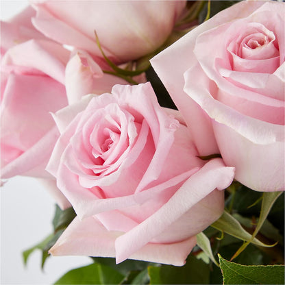Picture Perfect Pink Rose Bouquet –  Talia Flowers, Ottawa ON