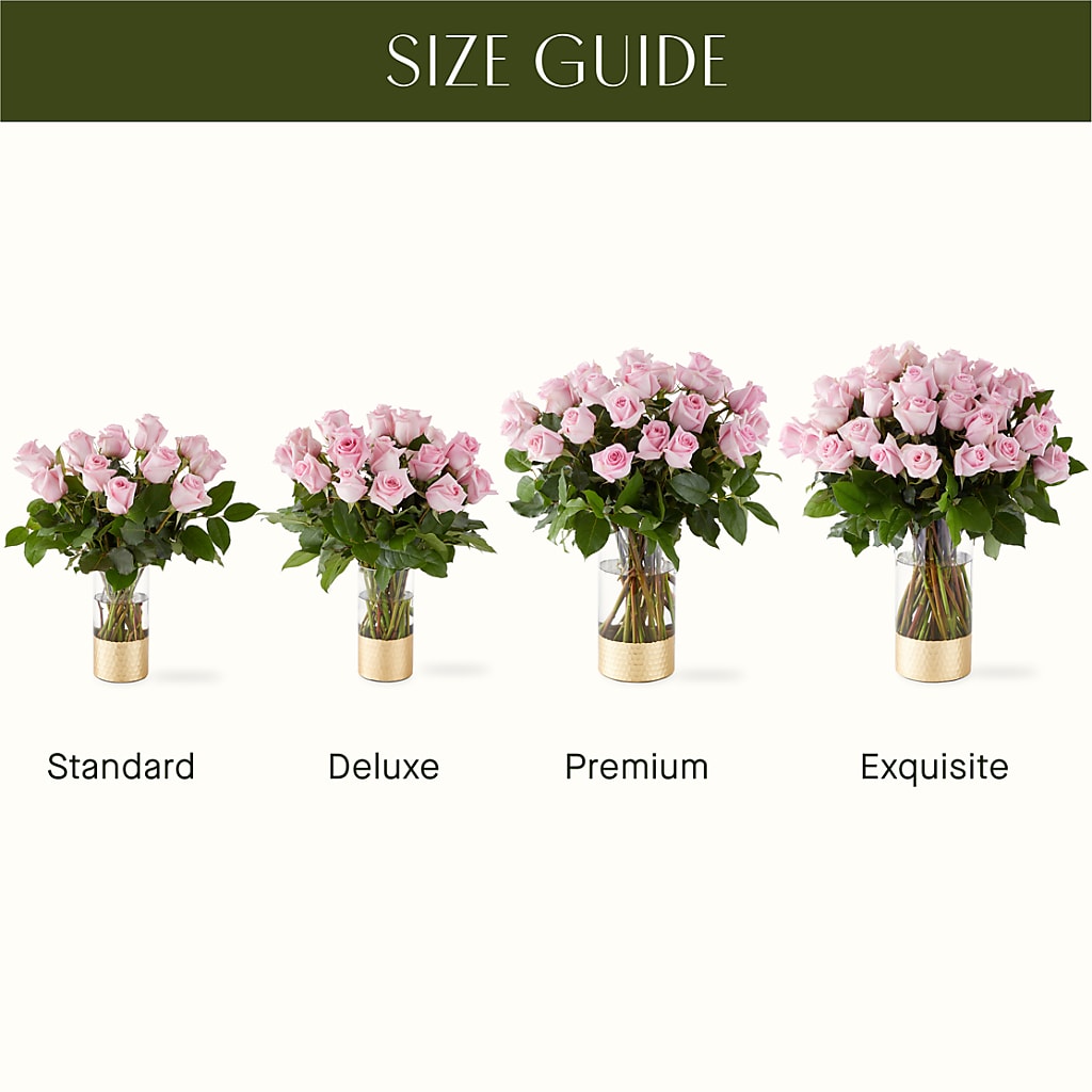 Picture Perfect Pink Rose Bouquet –  Talia Flowers, Ottawa ON