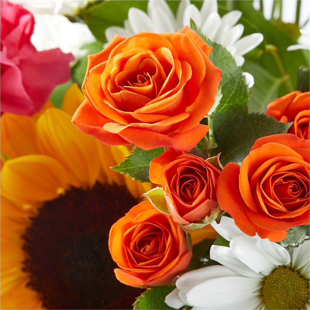 Sun-drenched Blooms Bouquet –  Talia Flowers, Ottawa ON