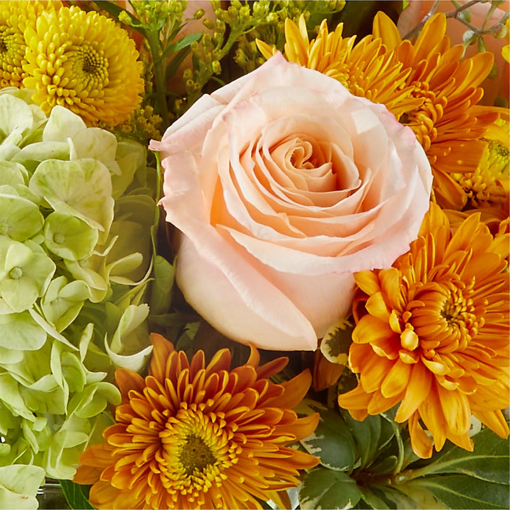 Fall Foliage Bouquet –  Talia Flowers, Ottawa ON