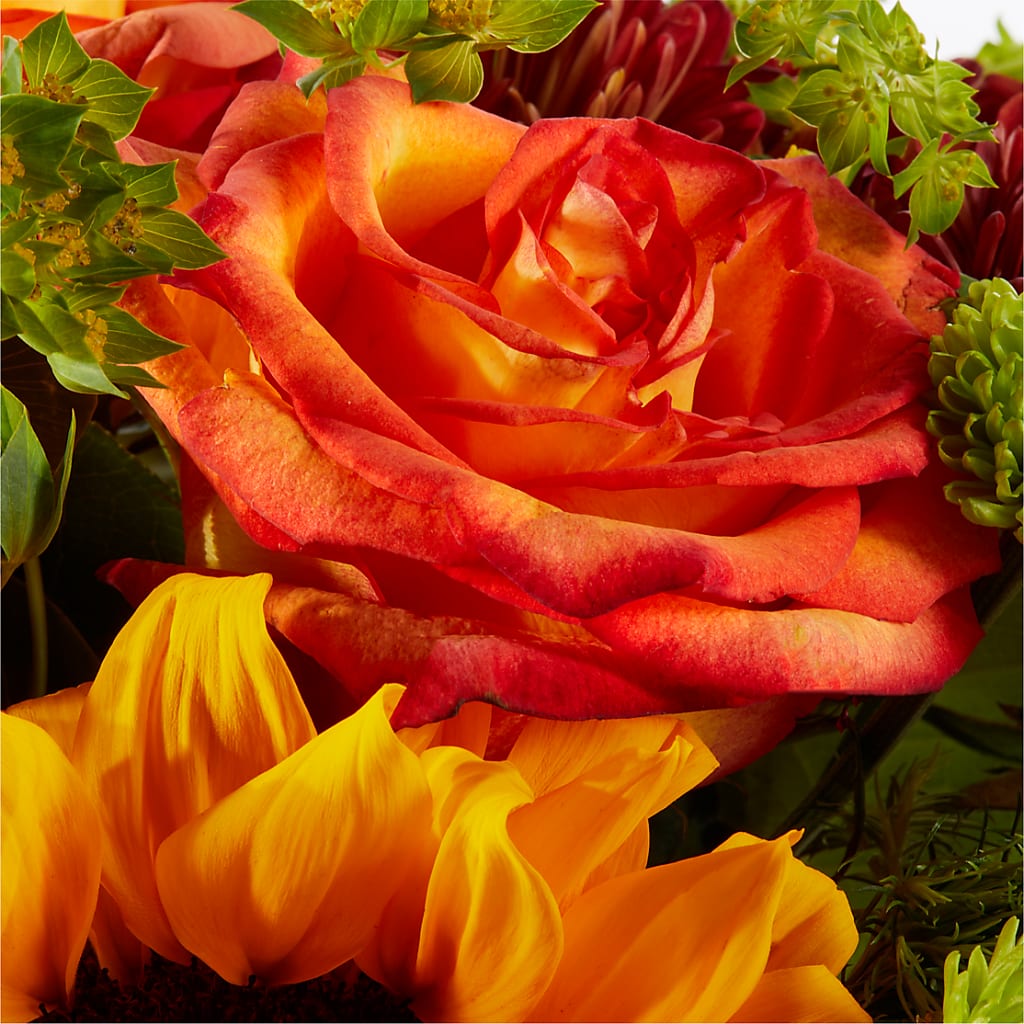 Harvest Festival Bouquet –  Talia Flowers, Ottawa ON