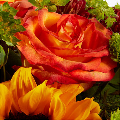 Harvest Festival Bouquet –  Talia Flowers, Ottawa ON