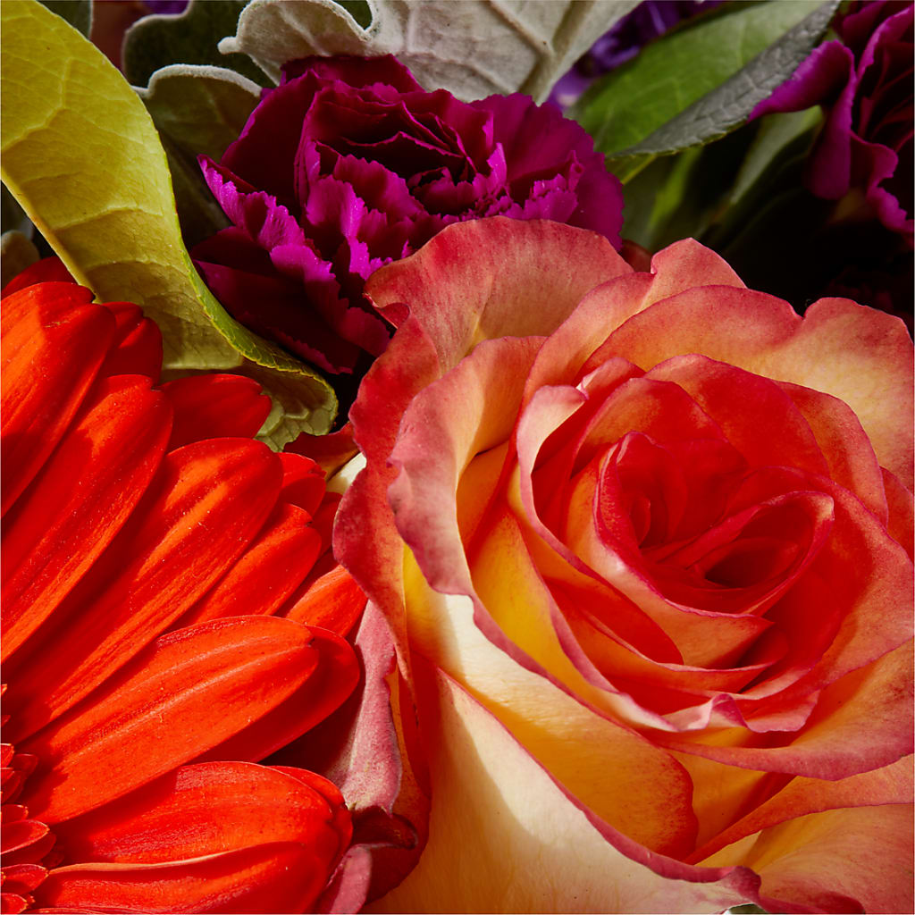 Sangria Bouquet –  Talia Flowers, Ottawa ON