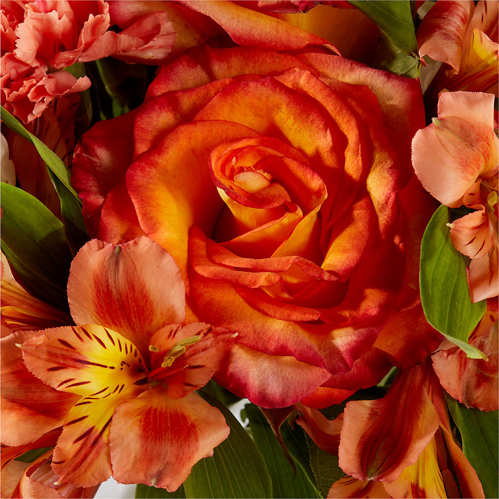 Apricot Glow Bouquet –  Talia Flowers, Ottawa ON