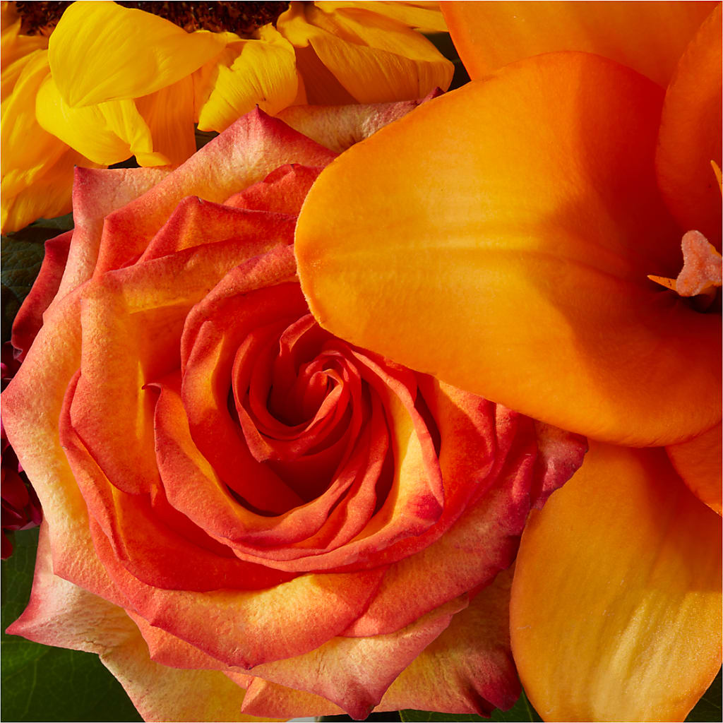 Grateful Centerpiece –  Talia Flowers, Ottawa ON