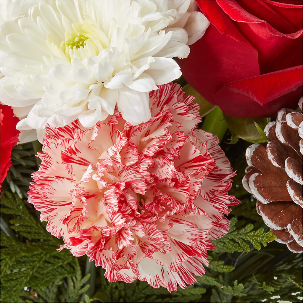 Candy Cane Lane Bouquet –  Talia Flowers, Ottawa ON