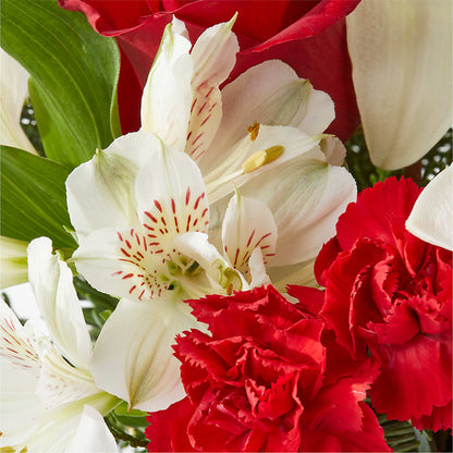 Holiday Season Bouquet –  Talia Flowers, Ottawa ON