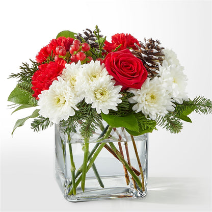 Bouquet d'ange des neiges