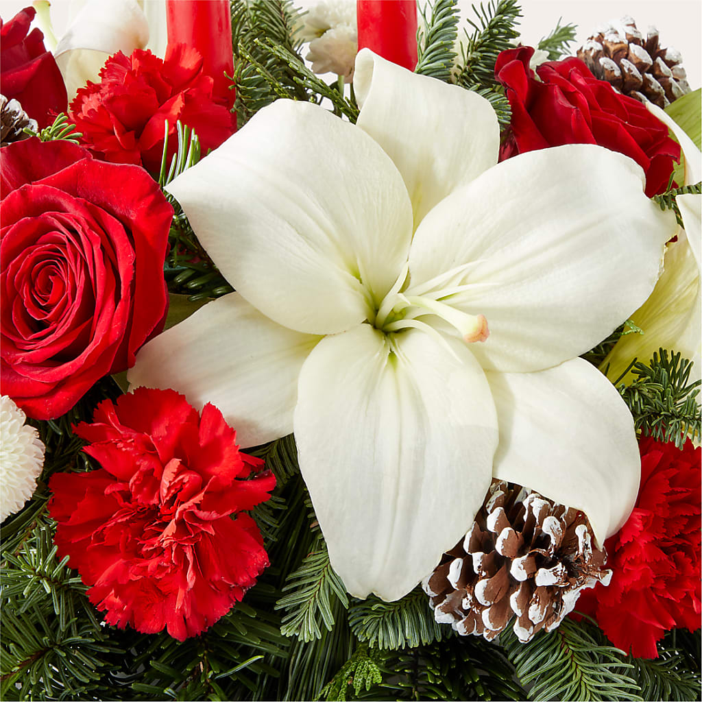 Seasonal Festivities Centerpiece –  Talia Flowers, Ottawa ON