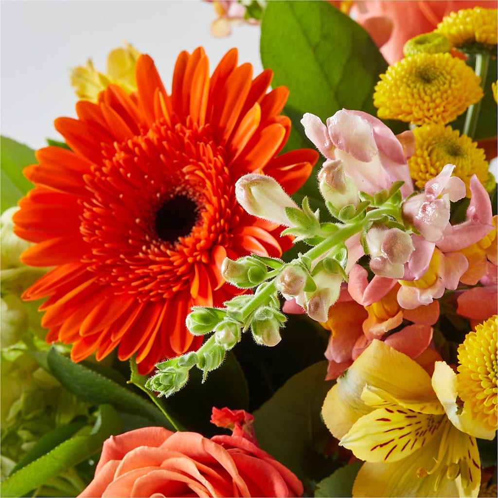 Autumn Sunshine Bouquet –  Talia Flowers, Ottawa ON