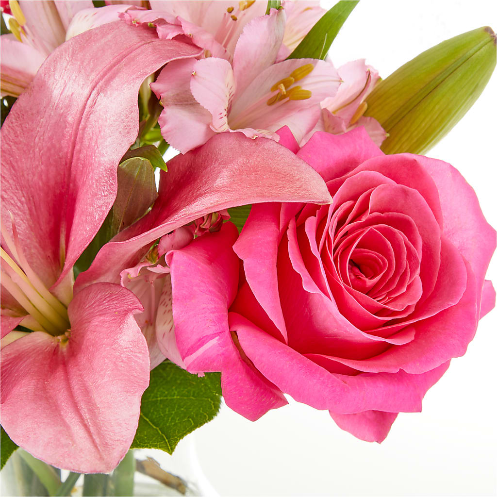 Lots of Love Bouquet –  Talia Flowers, Ottawa ON