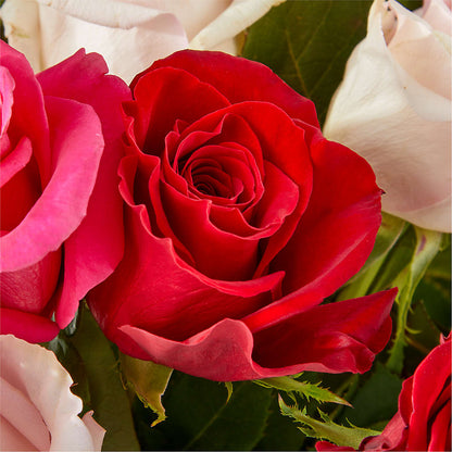 Charming Rose Bouquet –  Talia Flowers, Ottawa ON