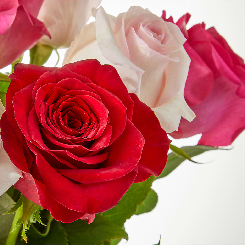 Charming Rose Bouquet –  Talia Flowers, Ottawa ON