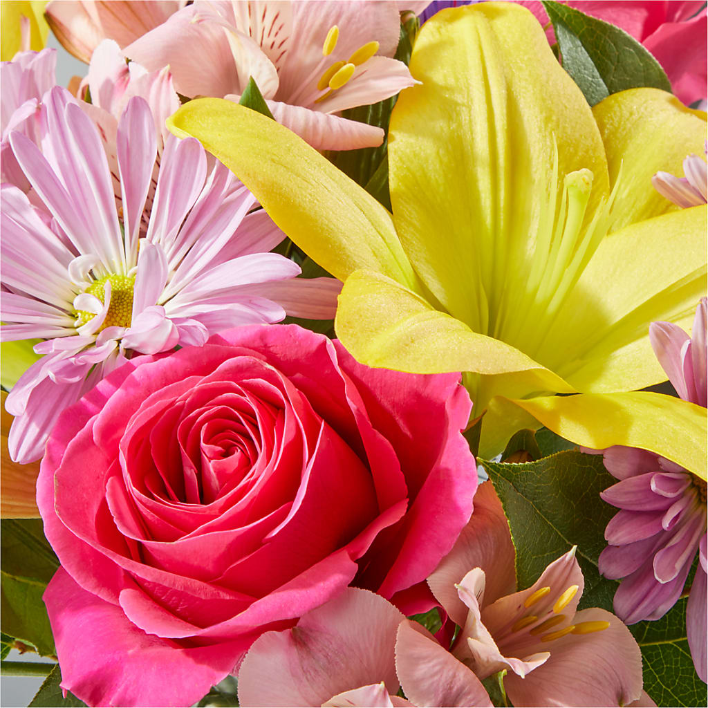 Sprinkles Bouquet –  Talia Flowers, Ottawa ON