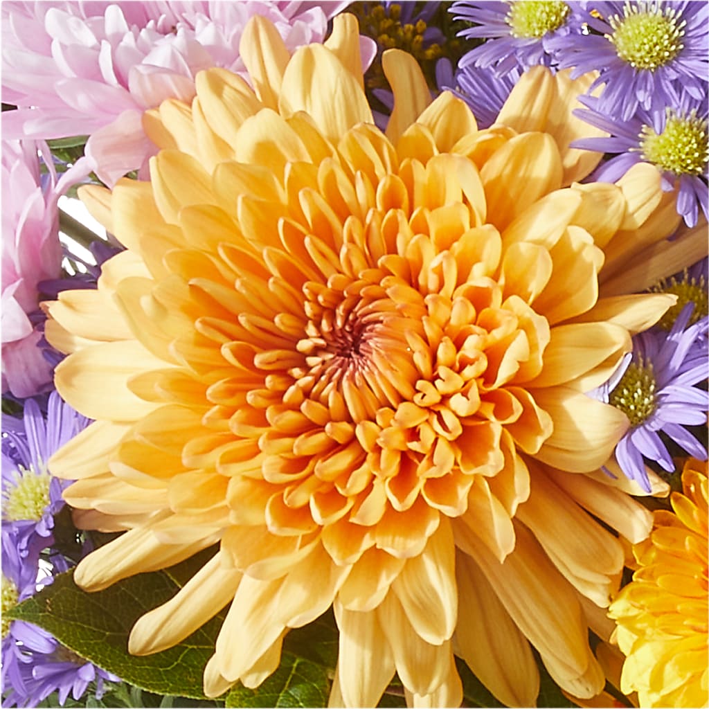 Countryside Bouquet –  Talia Flowers, Ottawa ON