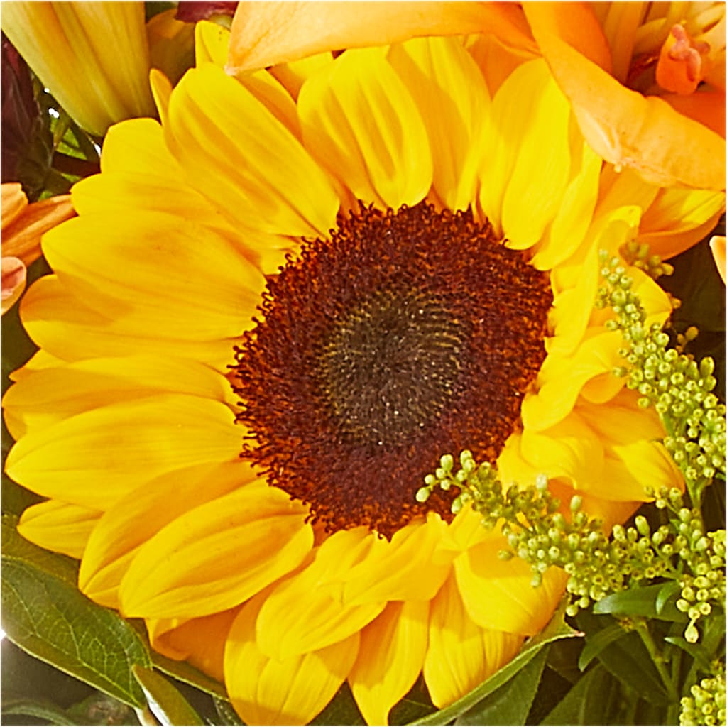 Seasons Change Bouquet –  Talia Flowers, Ottawa ON
