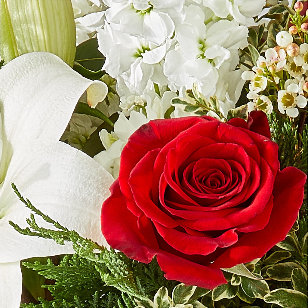 Twinkle Lights Bouquet –  Talia Flowers, Ottawa ON