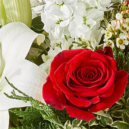 Twinkle Lights Bouquet –  Talia Flowers, Ottawa ON