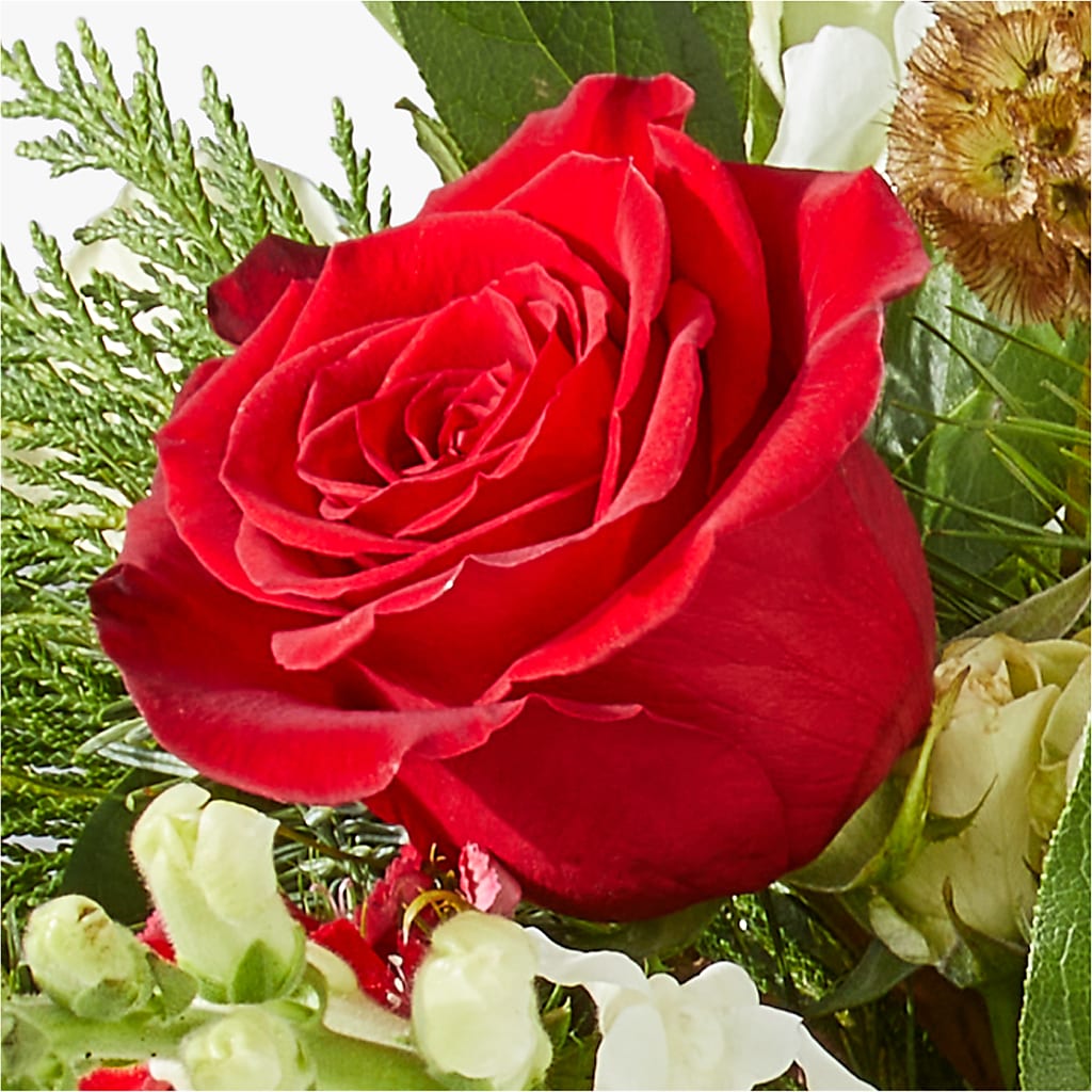 Deck the Halls Bouquet –  Talia Flowers, Ottawa ON