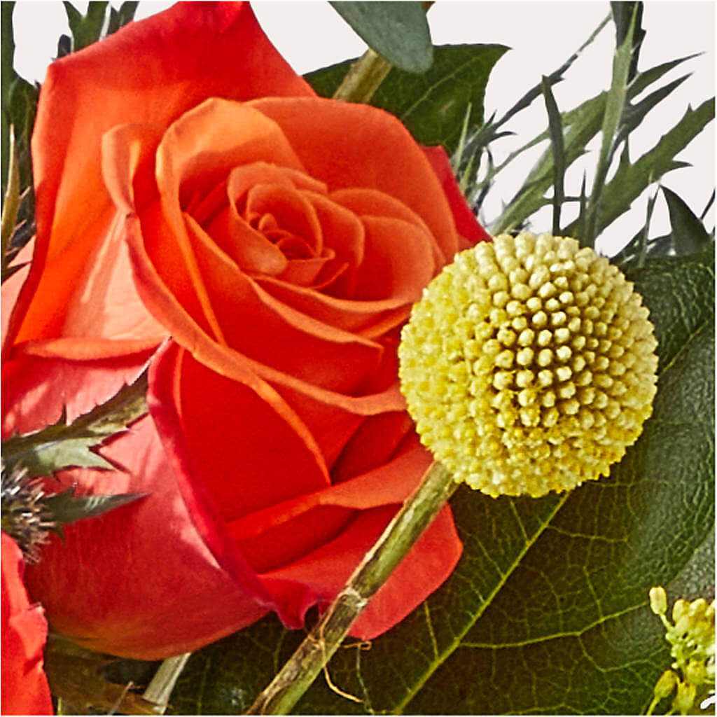 Disco Bouquet –  Talia Flowers, Ottawa ON