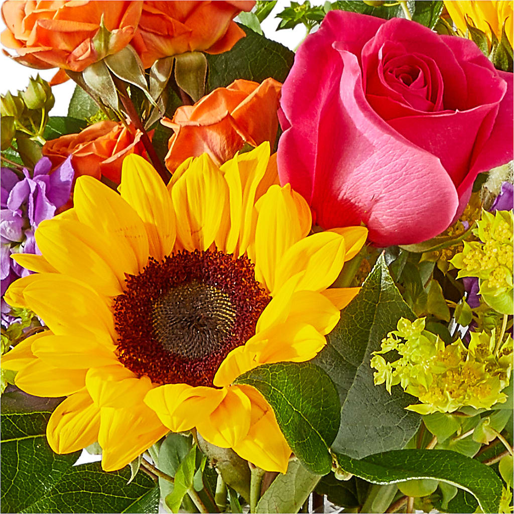 Vibrant Greetings Bouquet –  Talia Flowers, Ottawa ON