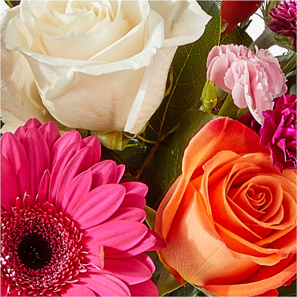 Smell the Roses Bouquet –  Talia Flowers, Ottawa ON