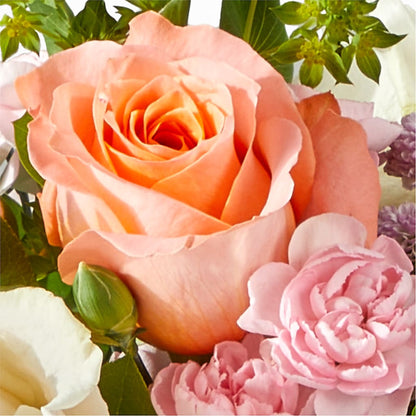 French Market Bouquet –  Talia Flowers, Ottawa ON