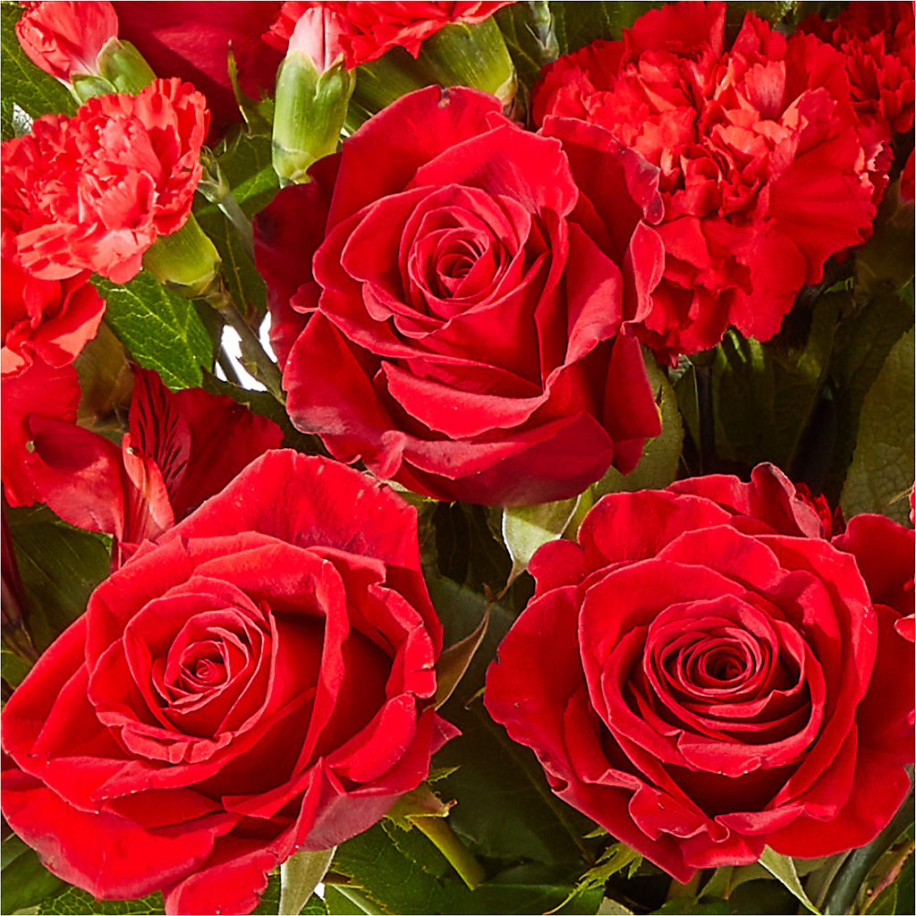 The Heartstrings Bouquet –  Talia Flowers, Ottawa ON