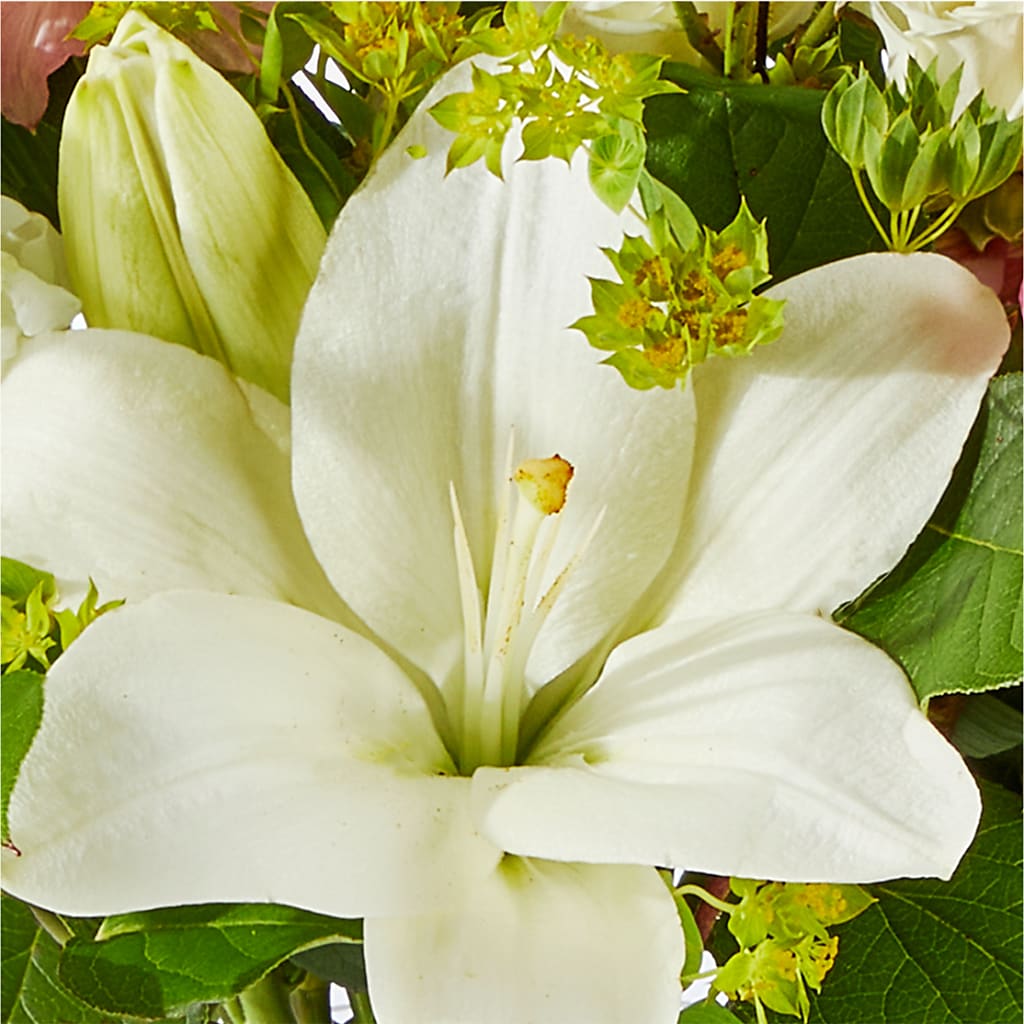 Fondly Bouquet –  Talia Flowers, Ottawa ON