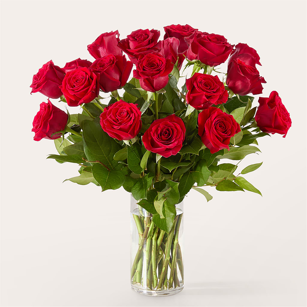 The One Red Rose Bouquet –  Talia Flowers, Ottawa ON