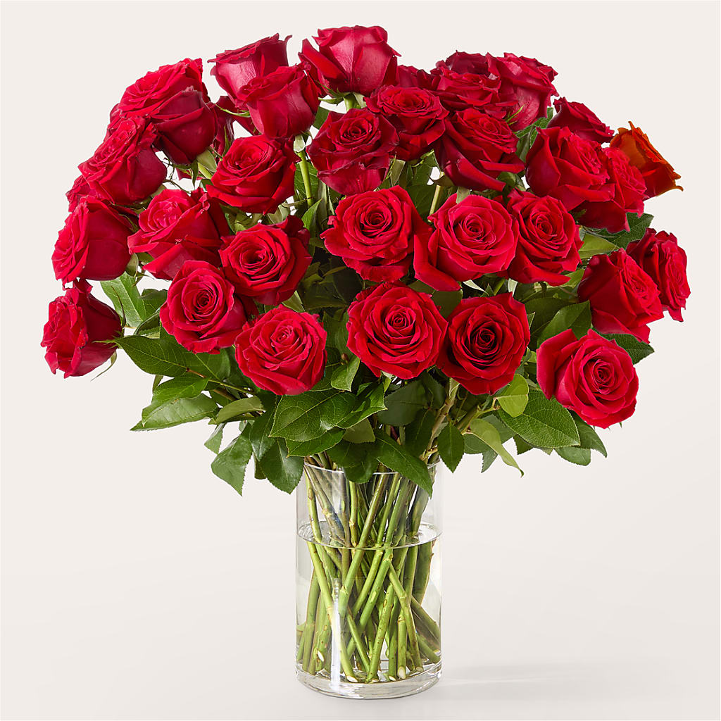 The One Red Rose Bouquet –  Talia Flowers, Ottawa ON
