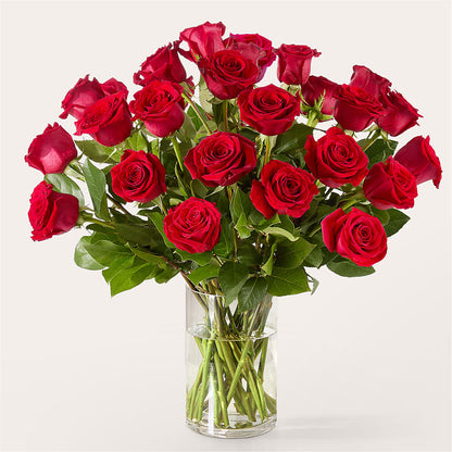 The One Red Rose Bouquet –  Talia Flowers, Ottawa ON